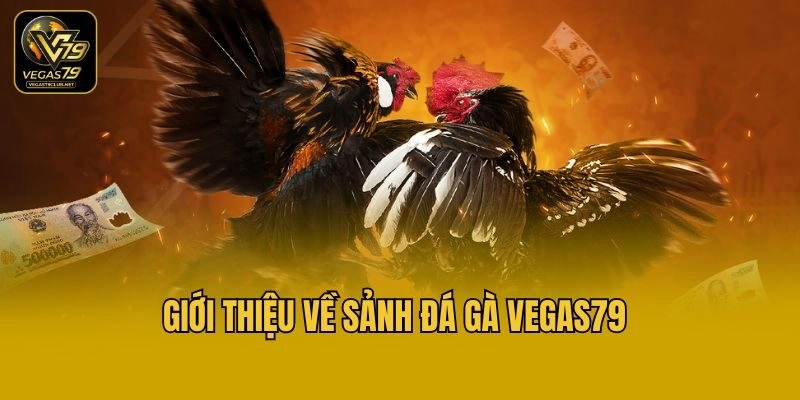 Giới thiệu về sảnh đá gà Vegas79